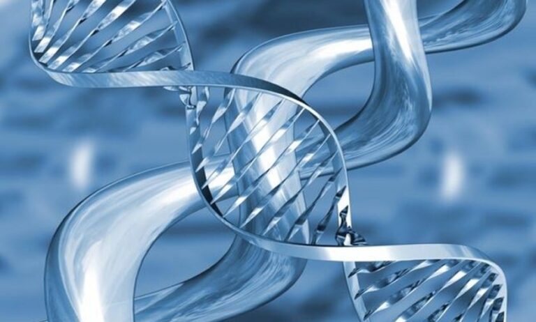 Γενετική «επανάσταση» μέσω «copy – paste» του DNA