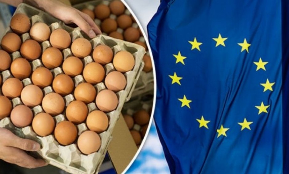 Πόσο τοξικές είναι οι τροφές που καταναλώνουμε;