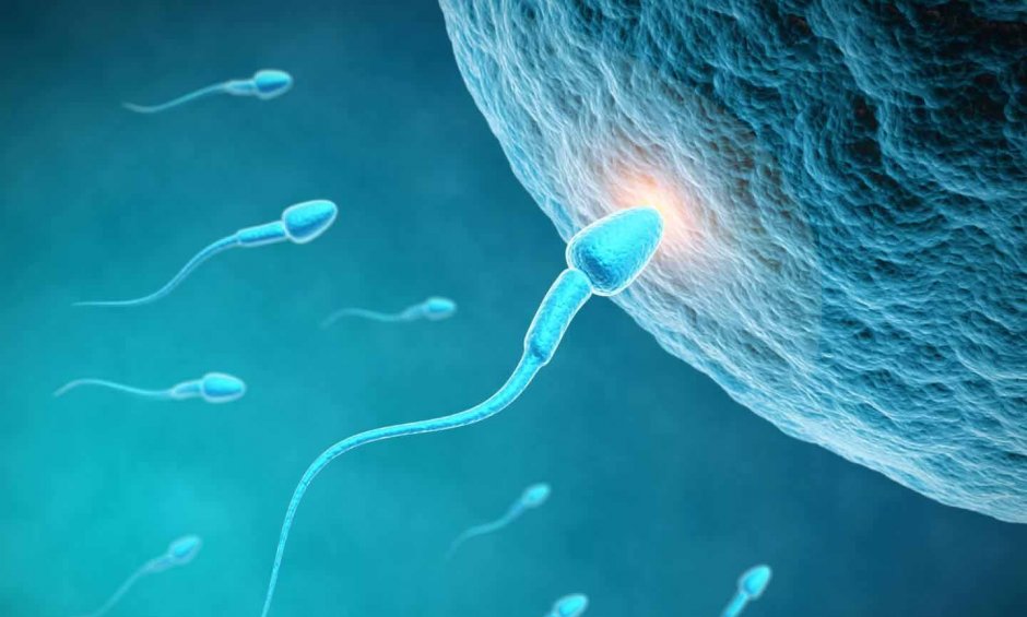 Γιατί 1 στα 7 ζευγάρια είναι υπογόνιμα; - Ανδρική υπογονιμότητα και περιβαλλοντικοί παράγοντες: Πότε απειλείται η ποιότητα του σπέρματος;