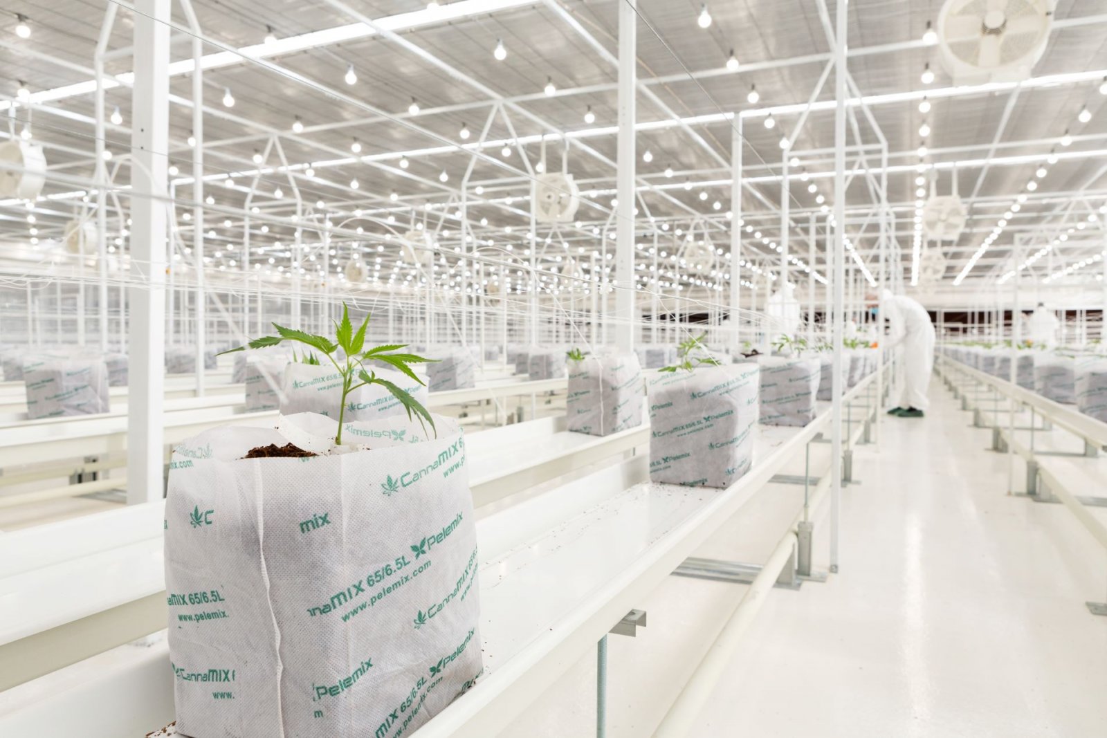 dt_tikun_fotografia_4-1