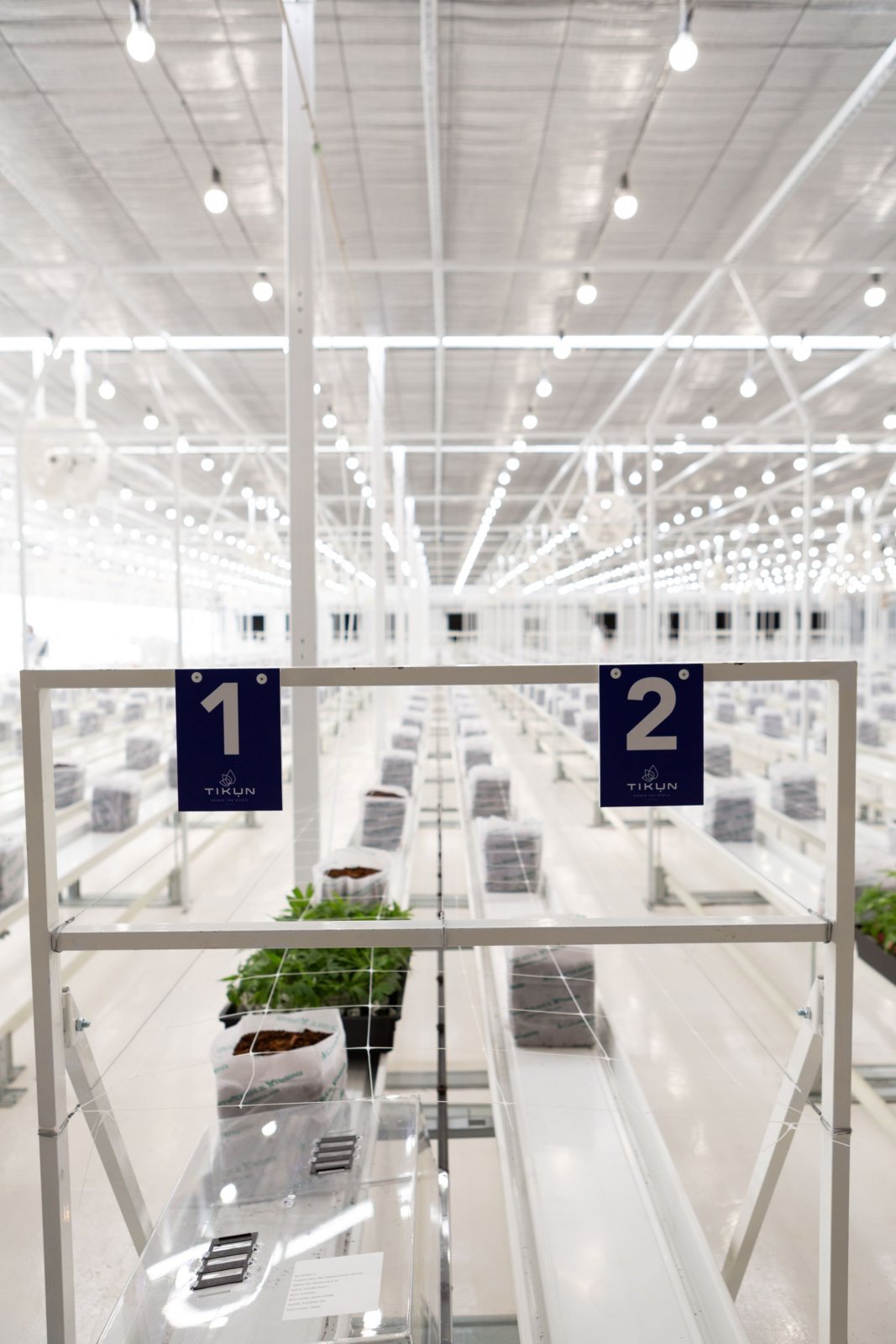 dt_tikun_fotografia_5-1