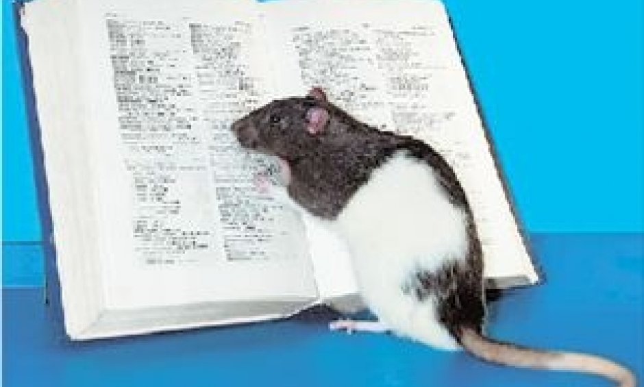 Νέα ουσία για την αποκατάσταση της όρασης