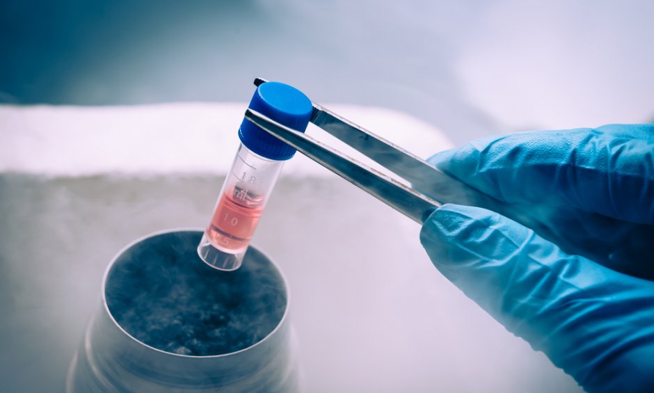 Βλαστοκύτταρα,  νέοι ορίζοντες για την Ιατρική